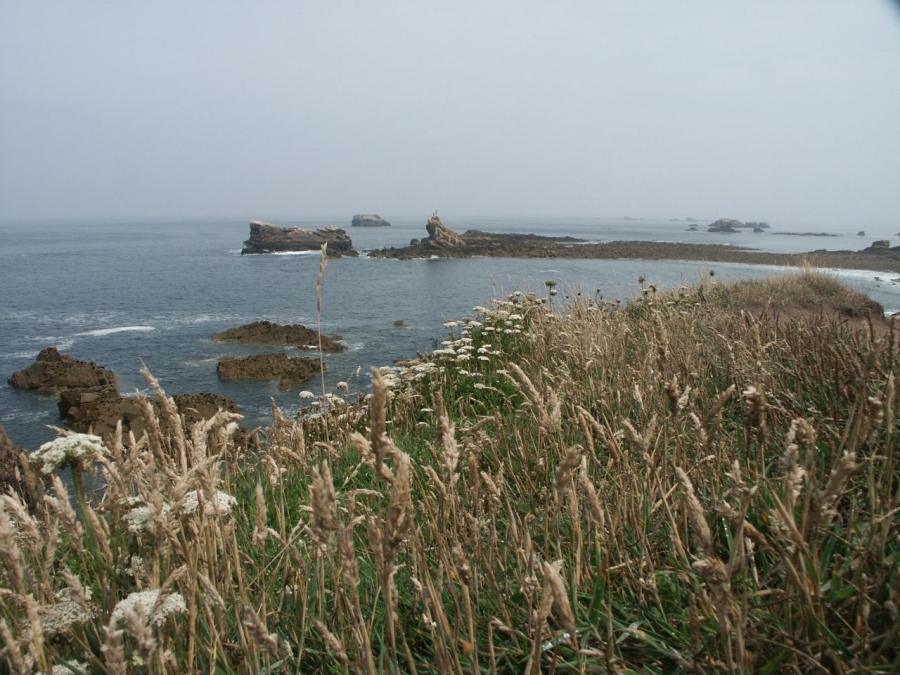 Brittany Coast