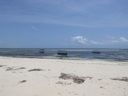 Malindi Marine National Park