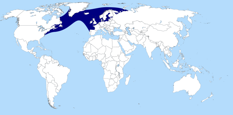 Verbreitung des atlantischen Lachses
